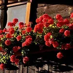 Idyllischer Landhof Baer Naehe Millstaettersee Mit Balkon 아파트 *