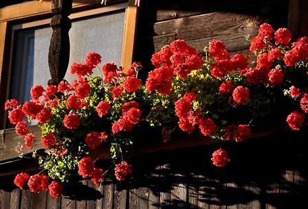 Idyllischer Landhof Naehe Millstaettersee Mit Balkon דירה *