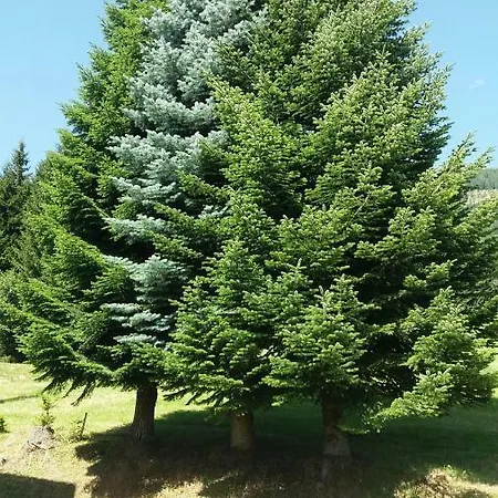 דירה Idyllischer Landhof Naehe Millstaettersee Mit Balkon