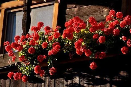 Idyllischer Landhof Naehe Millstaettersee Mit Balkon Appartement *