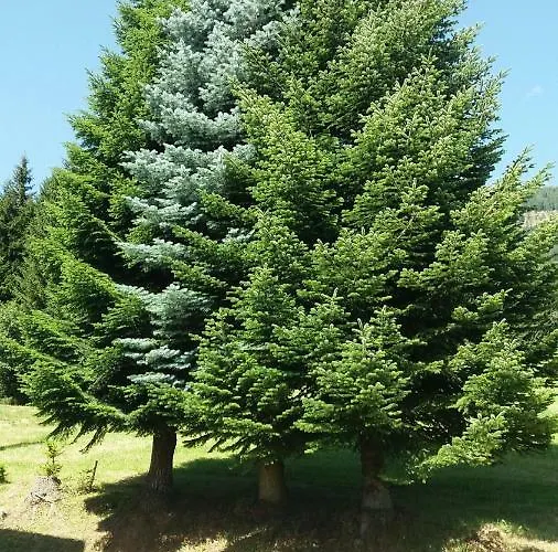 דירה Idyllischer Landhof Naehe Millstaettersee Mit Balkon
